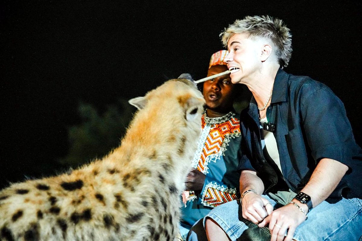 Harar Hyena Feeding